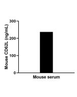 Mouse CD62L Recombinant Matched Antibody Pair, PBS Only MP02196-3 proteintech
