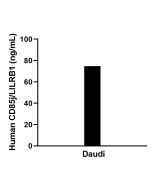 CD85j / LILRB1 Recombinant Matched Antibody Pair, PBS Only MP02236-1 proteintech