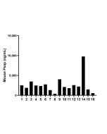 Mouse Psap Recombinant Matched Antibody Pair, PBS Only MP02256-2 proteintech