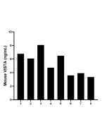 Mouse VISTA Recombinant Matched Antibody Pair, PBS Only MP02260-2 proteintech