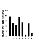 TGF beta 1 Recombinant Matched Antibody Pair, PBS Only MP02288-2 proteintech