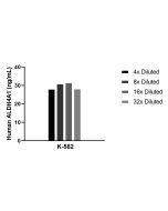 ALDH4A1 Recombinant Matched Antibody Pair, PBS Only MP02370-1 proteintech