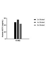 ACY1 Recombinant Matched Antibody Pair, PBS Only MP02382-1 proteintech