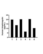 Amphiregulin Recombinant Matched Antibody Pair, PBS Only MP02406-2 proteintech