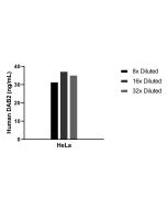 DAB2 Recombinant Matched Antibody Pair, PBS Only MP02525-1 proteintech