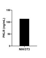 PKLR Recombinant Matched Antibody Pair, PBS Only MP02639-1 proteintech