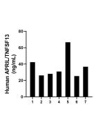 APRIL/TNFSF13 Recombinant Matched Antibody Pair, PBS Only MP02644-1 proteintech
