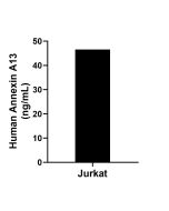 Annexin A13 Recombinant Matched Antibody Pair, PBS Only MP02684-1 proteintech