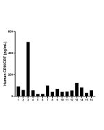 CRH/CRF Recombinant Matched Antibody Pair, PBS Only MP02703-1 proteintech