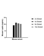 Mouse Leptin Recombinant Matched Antibody Pair, PBS Only MP02927-1 proteintech