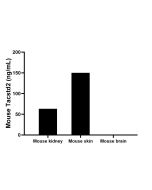 Mouse Tacstd2 Recombinant Matched Antibody Pair, PBS Only MP03005-1 proteintech