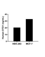 DTD1 Recombinant Matched Antibody Pair, PBS Only MP03023-1 proteintech