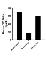 Mouse CD3 Delta Recombinant Matched Antibody Pair, PBS Only MP03077-2 proteintech