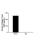 Collagen Type XXIII Recombinant Matched Antibody Pair, PBS Only MP03156-1 proteintech