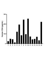 CD4 Monoclonal Matched Antibody Pair, PBS Only MP50077-1 proteintech