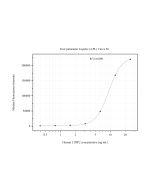 LTBP2 Monoclonal Matched Antibody Pair, PBS Only MP51013-3 proteintech