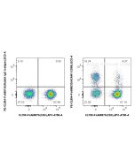 FcZero-rAb® PE-CoraLite® Plus 594 Anti-Human NCAM1/CD56 Rabbit Recombinant Antibody PCL594-FcA98033 proteintech