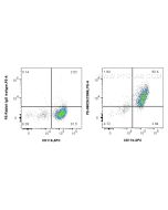 PE Anti-Mouse CD68 Rabbit Recombinant Antibody PE-98029 proteintech