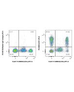 PE Anti-Human CD7 Rabbit Recombinant Antibody PE-98204 proteintech