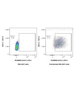 PE Anti-Mouse CCL1 Rabbit Recombinant Antibody PE-98502-2 proteintech