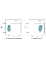 FcZero-rAb® PE Anti-Mouse CD11a (M17/4) Rabbit Recombinant Antibody PE-FcA65670 proteintech
