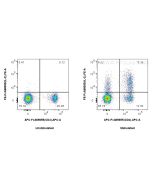 FcZero-rAb® PE Anti-Mouse IL-2 Rabbit Recombinant Antibody PE-FcA98055 proteintech