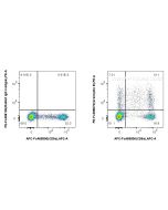 FcZero-rAb® PE Anti-Human Granzyme B Rabbit Recombinant Antibody PE-FcA98070 proteintech