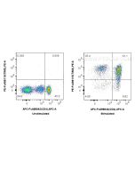FcZero-rAb® PE Anti-Human TIM3 Rabbit Recombinant Antibody PE-FcA98115 proteintech