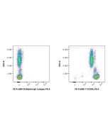 FcZero-rAb® PE Anti-Human CD45 Rabbit Recombinant Antibody PE-FcA98117 proteintech