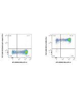 FcZero-rAb® PE Anti-Mouse Fas/CD95 Rabbit Recombinant Antibody PE-FcA98135 proteintech
