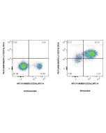 FcZero-rAb® PE Anti-Mouse PD-L1/CD274 Rabbit Recombinant Antibody PE-FcA98166 proteintech