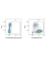 FcZero-rAb® PE Anti-Human CD81 Rabbit Recombinant Antibody PE-FcA98202 proteintech