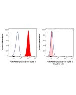 FcZero-rAb® PE Anti-Human Nectin-2/CD112 Rabbit Recombinant Antibody PE-FcA98283 proteintech
