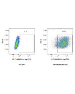 FcZero-rAb® PE Anti-6*His, His-Tag Rabbit Recombinant Antibody PE-FcA98450 proteintech