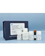 IHC Detect Kit for Rabbit/Mouse Primary Antibody PK10006 proteintech