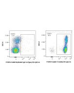FcZero-rAb® PE-Cyanine5.5 Anti-Human CD45 Rabbit Recombinant Antibody PY5P5-FcA98117 proteintech