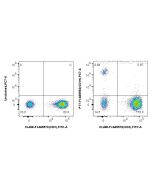 FcZero-rAb® PE-Cyanine7 Anti-Human CD19 (4G7) Rabbit Recombinant Antibody PY7-FcA65562 proteintech