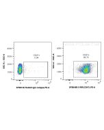 Anti-Mouse CD47 Rabbit scFv Antibody, PBS Only SF98456-3-PBS proteintech