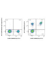 FcZero-rAb? APC Anti-Mouse CD3 (17A2) Rabbit IgG Recombinant Antibody Proteintech  APC-FcA65659