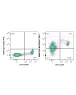 Anti-Human BST2 Rabbit Recombinant Antibody Proteintech  98305-2-RR