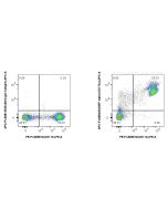 FcZero-rAb? APC Anti-Mouse SIRP Alpha/CD172a Rabbit Recombinant Antibody Proteintech  APC-FcA98225