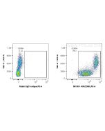 Anti-Human CD98/SLC3A2 Rabbit Recombinant Antibody Proteintech  98190-1-RR