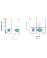 Anti-Human IL-4 Rabbit Recombinant Antibody Proteintech  98138-1-RR