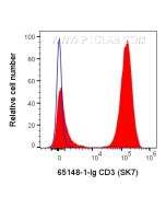Anti-Human CD3 (SK7) Proteintech  65148-1-Ig