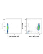 Anti-Human CD16 Rabbit Recombinant Antibody Proteintech  98387-1-RR