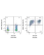 Anti-Human CD25/IL-2RA Rabbit Recombinant Antibody Proteintech  98469-1-RR