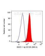 Anti-Human CD155/PVR (SKII.4) Proteintech  65251-1-Ig