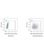 Anti-Rat CCL20/MIP-3 alpha Rabbit Recombinant Antibody Proteintech  98500-1-RR