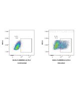 FcZero-rAb? Biotin Anti-Mouse IL-6 Rabbit Recombinant Antibody Proteintech  Biotin-FcA98089