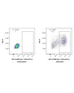 FcZero-rAb? APC Anti-Human IL-1 beta Rabbit Recombinant Antibody Proteintech  APC-FcA98142